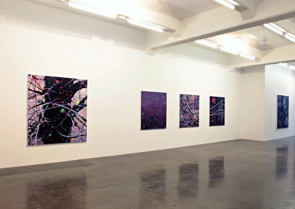 Maguire Refractions 09 Install 4