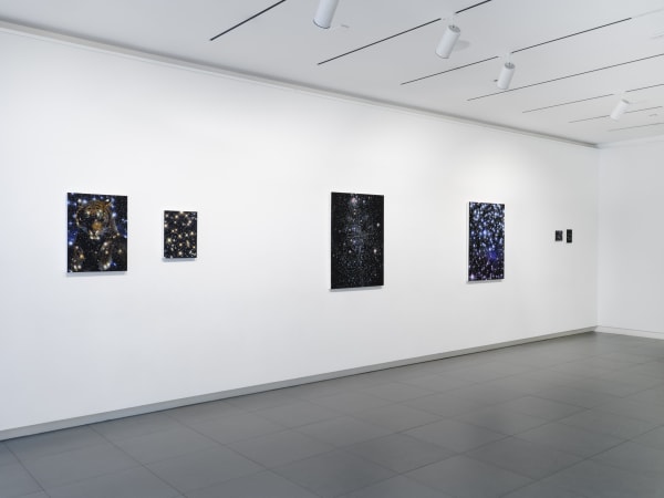 Paterson 2024 In The Stars I Trust Jutta Gallery Nyc Installation Photo Flaneurshan Studio 1