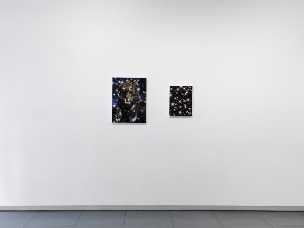 Paterson 2024 In The Stars I Trust Jutta Gallery Nyc Installation Photo Flaneurshan Studio 2