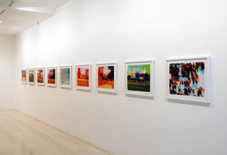 Paul 2008 Pink And White Terraces Exhibition Install 4