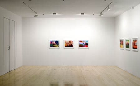 Paul 2008 Pink And White Terraces Exhibition Install 5