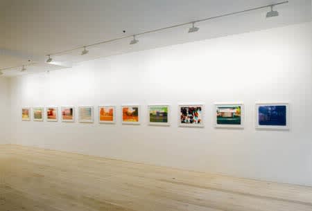 Paul 2008 Pink And White Terraces Exhibition Install 7