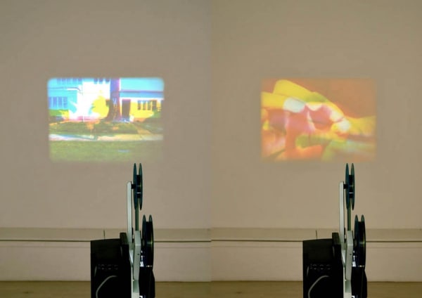 Paul 2008 Pink And White Terraces Exhibition Install Double Stills