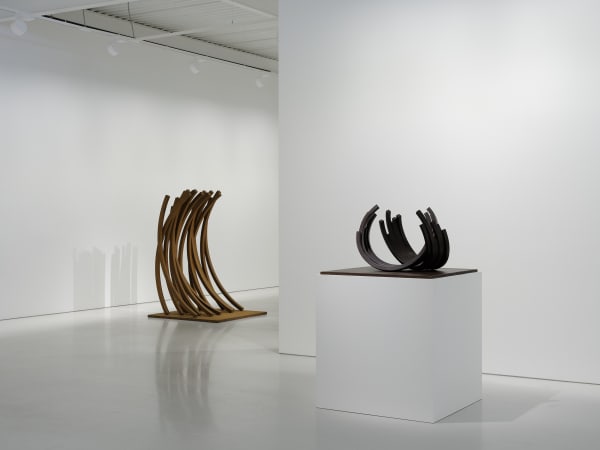 Venet 2025 Concepts In Form Installation View Sam Hartnett Web 15