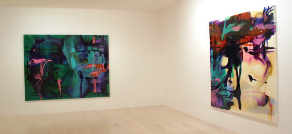 Dale Frank Installation 005