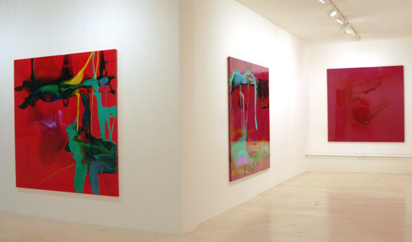 Dale Frank Installation 009