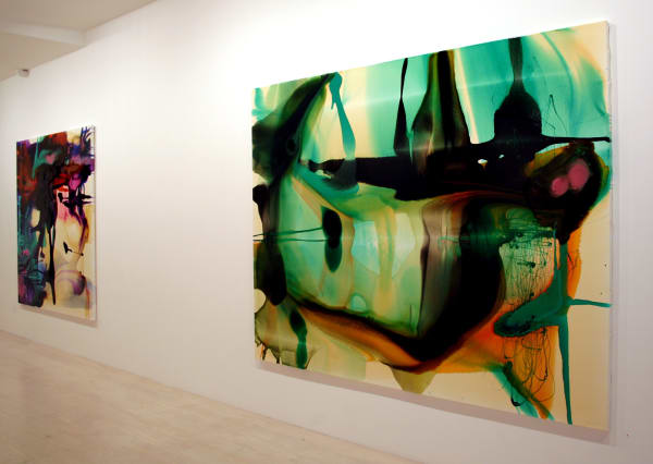 Dale Frank Installation 016