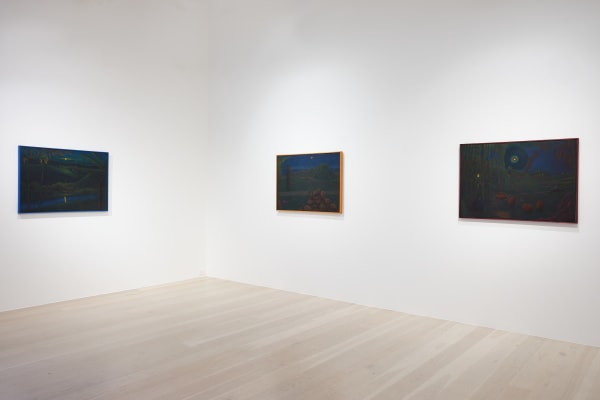 Fletcher 2023 Twilights Edge Installation View Sam Hartnett Web 1