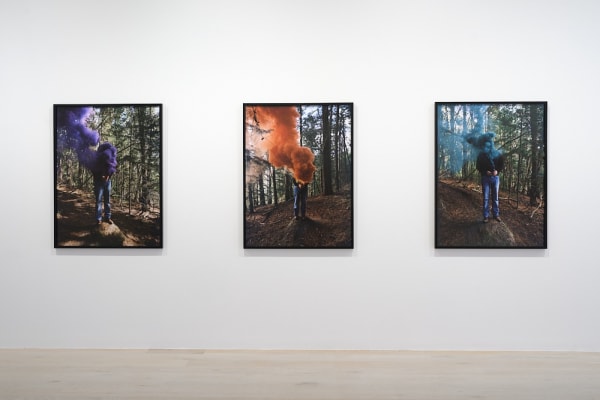 Carr How To Disappear Installation View Sam Hartnett Web 3