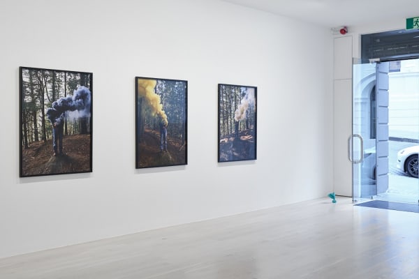 Carr How To Disappear Installation View Sam Hartnett Web 4