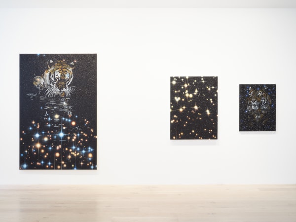 Paterson 2025 The Tree Collectors Installation Sam Hartnett Web 4