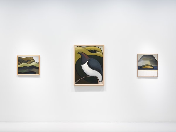 Binney 2025 A Flight Through Time Installation View Sam Hartnett Web 15