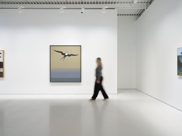 Binney 2025 A Flight Through Time Installation View Sam Hartnett Web 24