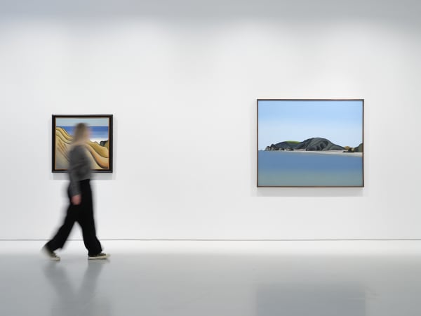 Binney 2025 A Flight Through Time Installation View Sam Hartnett Web 26