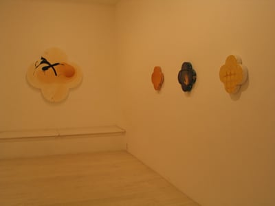 Gimblett 2004 Installation View 6