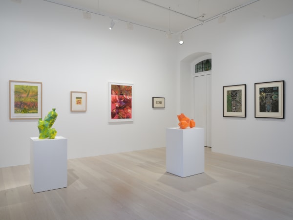 Summer Editions 2025 Installation Sam Hartnett Web 4