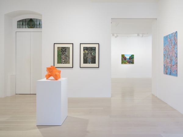 Summer Editions 2025 Installation Sam Hartnett Web 5