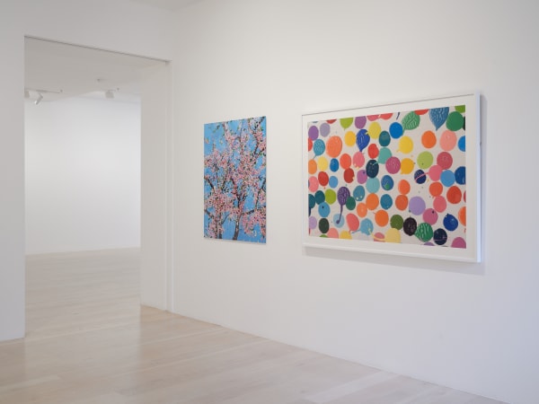 Summer Editions 2025 Installation Sam Hartnett Web 7