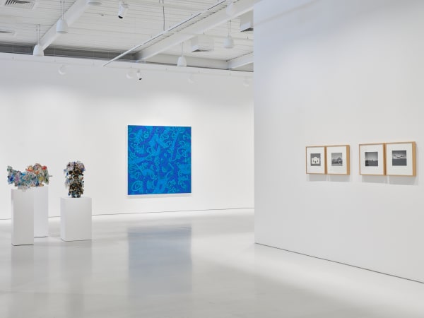 Annual Summer Exhibition 2025 26 Installation View Sam Hartnett Web 7