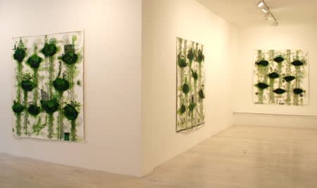 Another Green World
