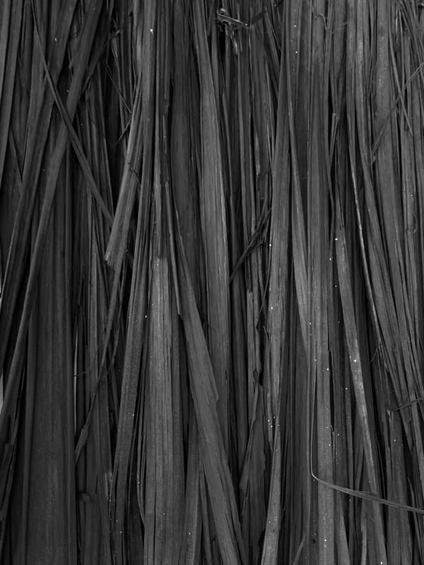 Doorway to Night Brett Graham