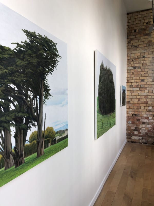 Dick Frizzell Landscapes at Britomart Project Space