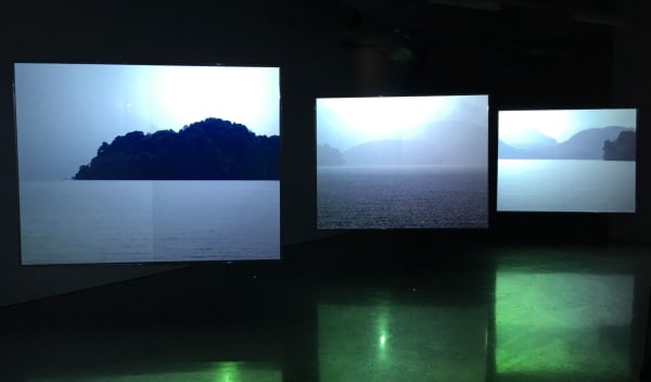 Coastal Flows / Coastal Incursions Installation View