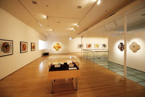 'The Universe: Max Gimblett' on view at Tauranga Art Gallery