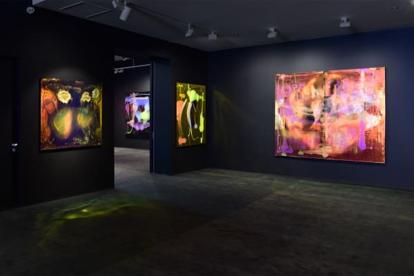 Dale Frank, Exhibition Overview