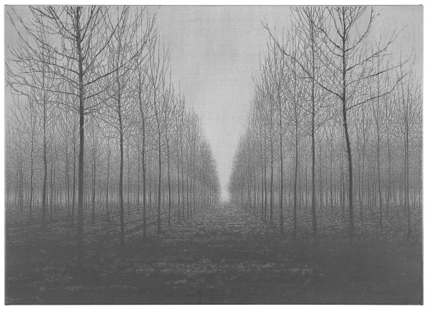 Danja Akulin - 9, 2014