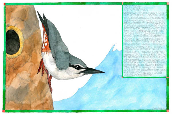 Никита Алексеев. Птицы Подмосковья Выставка в поддержку инициативы орнитологов России об отмене Дня смеха в Государственном Дарвиновском музее