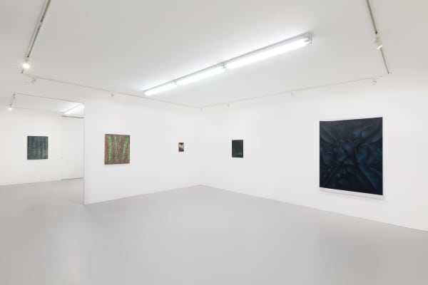 Lg Aerial Silk Installation View 1