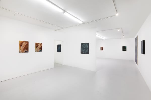 Lg Aerial Silk Installation View 2