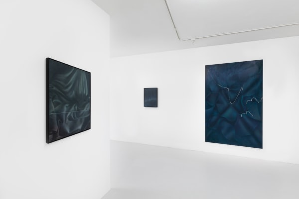 Lg Aerial Silk Installation View 3