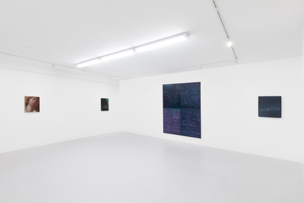 Lg Aerial Silk Installation View 4