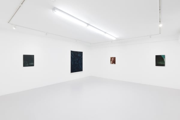 Lg Aerial Silk Installation View 5