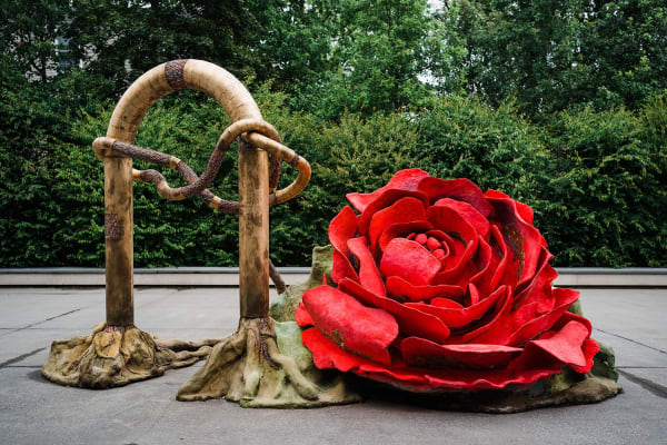 Sime Website Slideshow 9