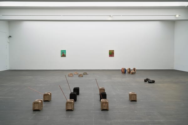 Nashashibi Skaer 010