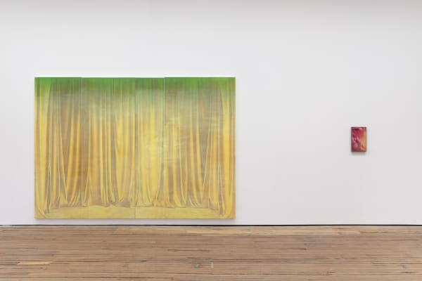 2 Installation View Louise Giovanelli Auto Da Fe 1