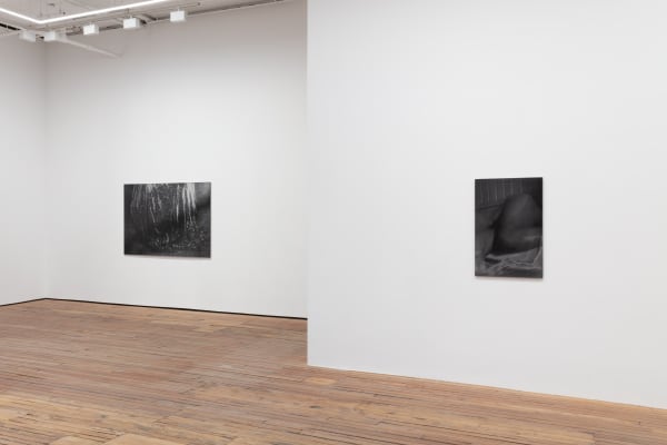 Dirk Braeckman Luster 2022 Install 4