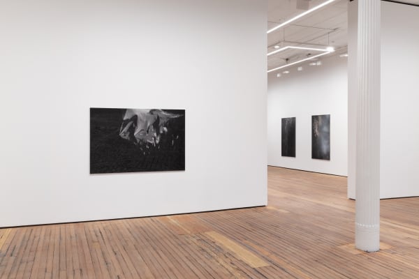 Dirk Braeckman Luster 2022 Install 7