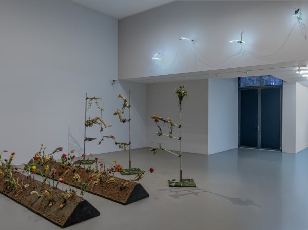 024 Centraal Museum De Botanische Revolutie 2021 Ph Gj Vanrooij