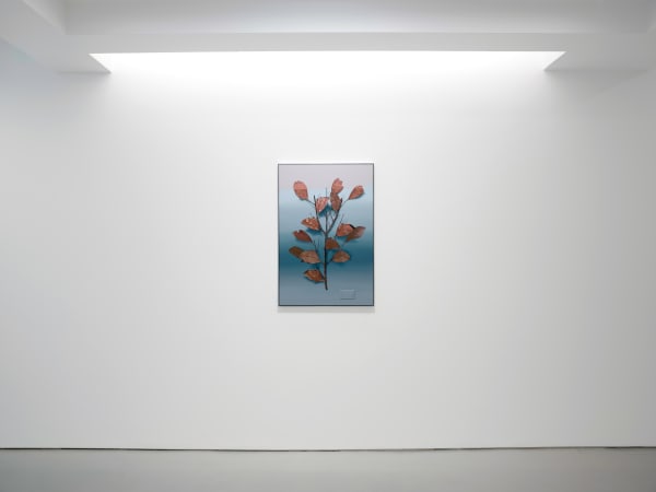 081122 Ad 05 Srgb Brighter