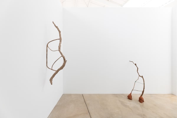 11 Rooting Hormones L21Gallery 2022 04