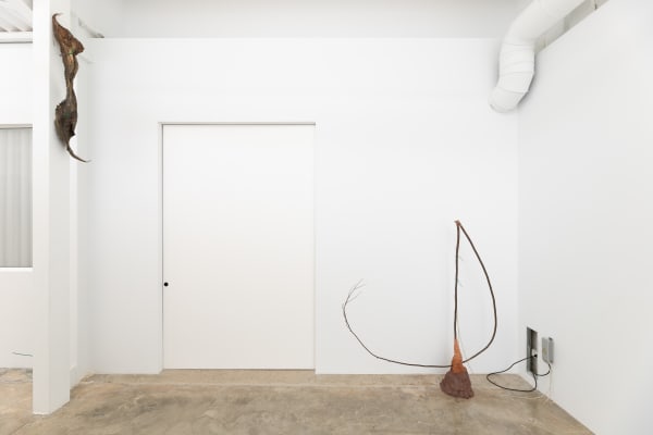 Rooting Hormones L21Gallery 2022 10 1