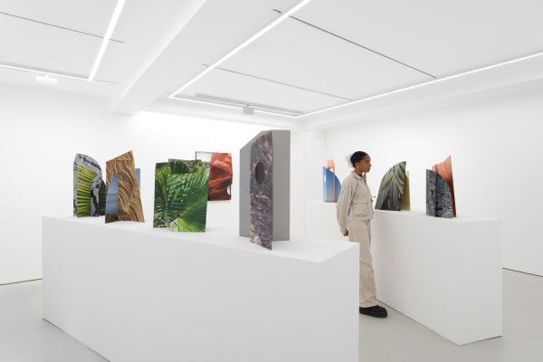 Grimm Gallery Letha Wilson Installation View High Res 33