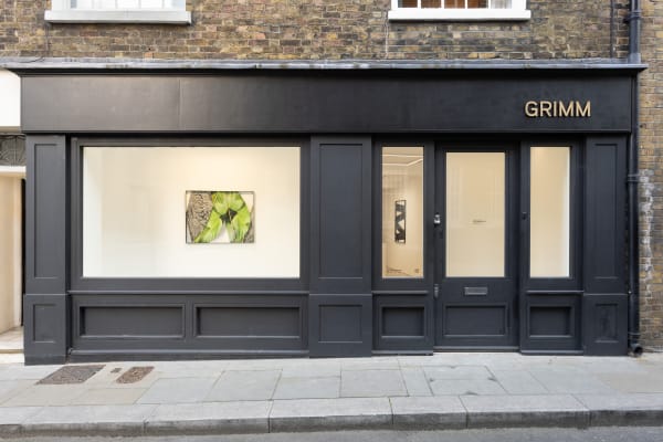 Grimm Gallery Letha Wilson Installation View High Res 35