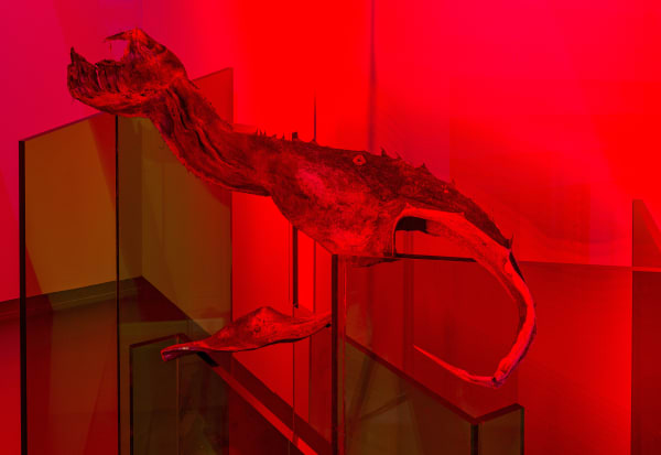 007 Saskia Noor Van Imhoff Fries Museum Seeds Of Memory 2023 Ph Gj Vanrooij