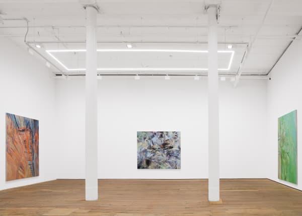 Installation View Corso Ny Us 2024 6