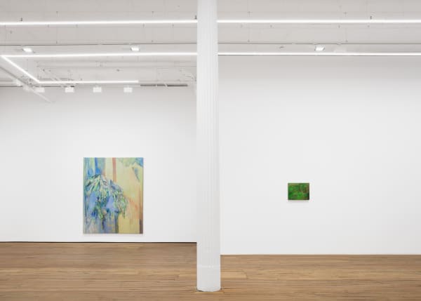 Installation View Corso Ny Us 2024 7